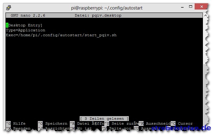 nano - Startbefehl für pgiv