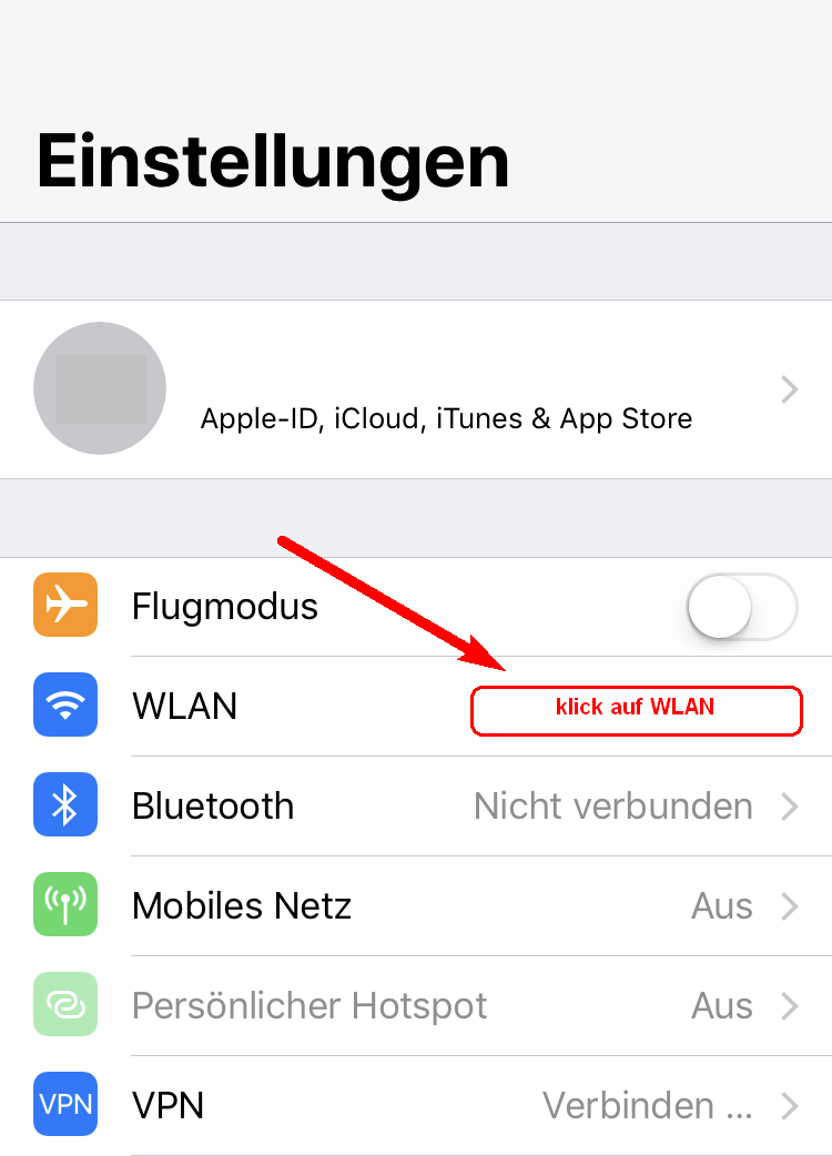 Apple DNS-Settings