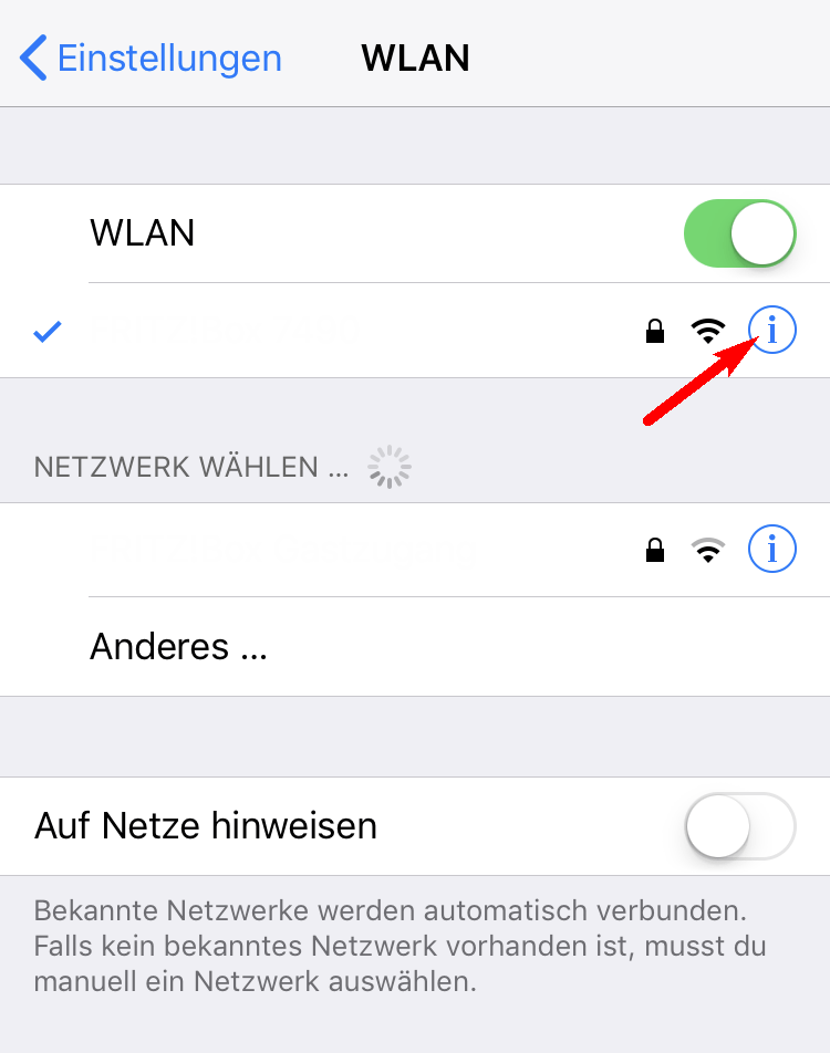 Apple DNS-Settings