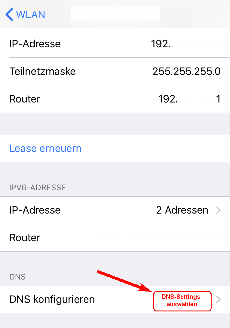 Apple DNS-Settings