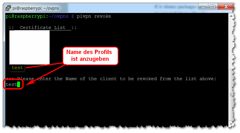 OpenVPN - Profil deaktivieren