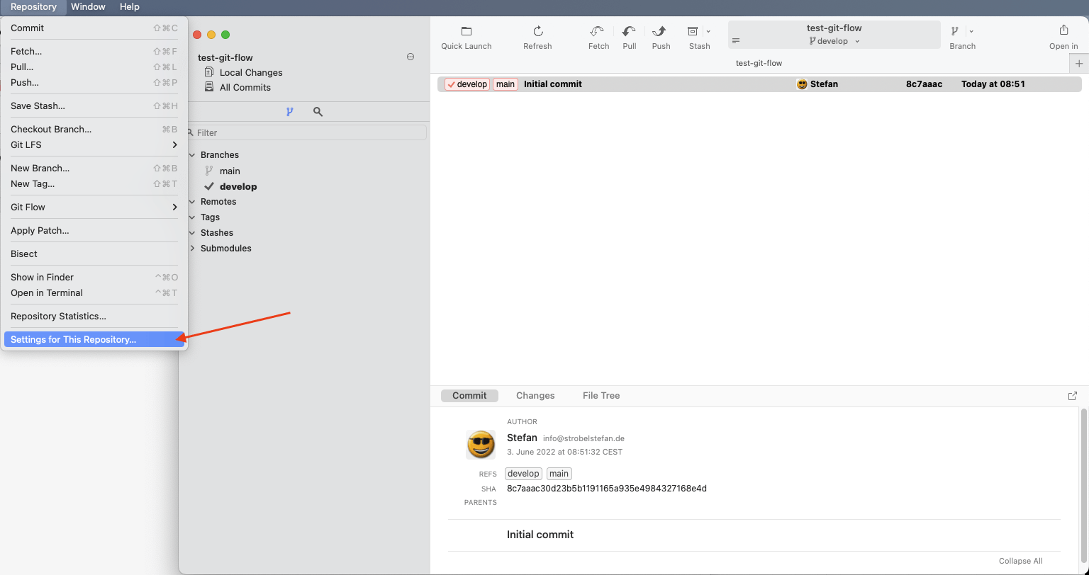 Repository-Einstellungen