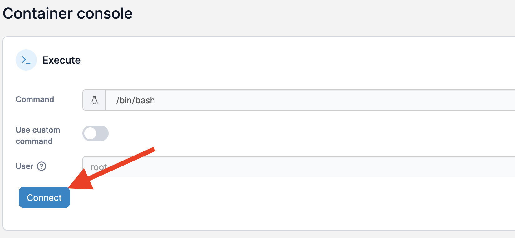 Portainer - Docker Bash