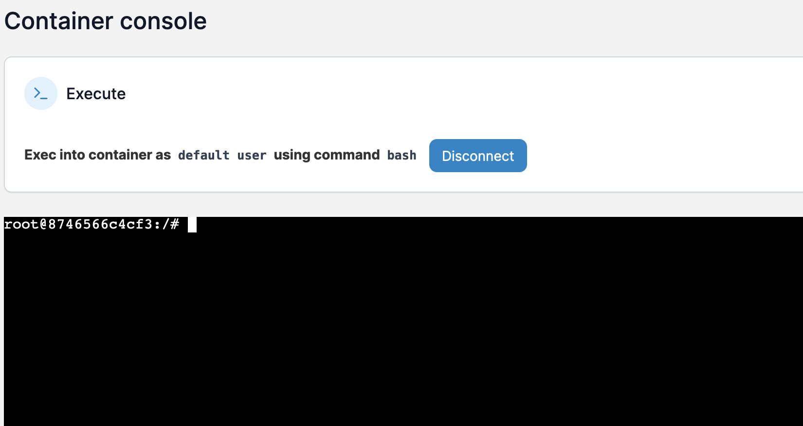 Portainer - Docker Bash