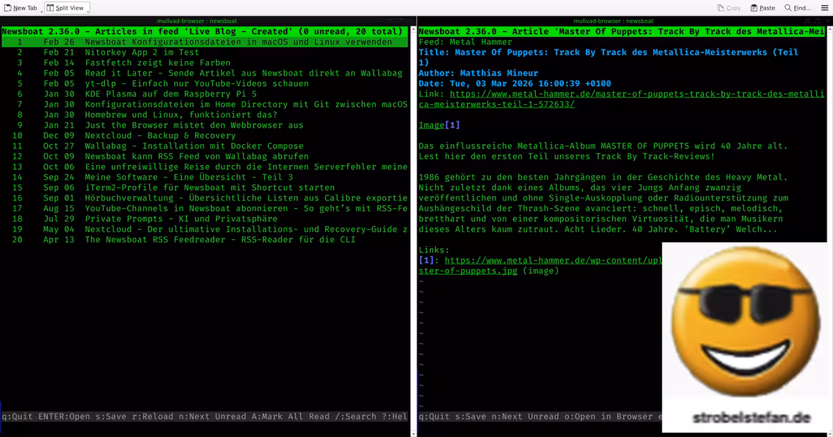 Zwei Newsboat - Instanzen in Split View in der App Konsole