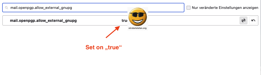 mail.opengpg.allow_external_gnupg
